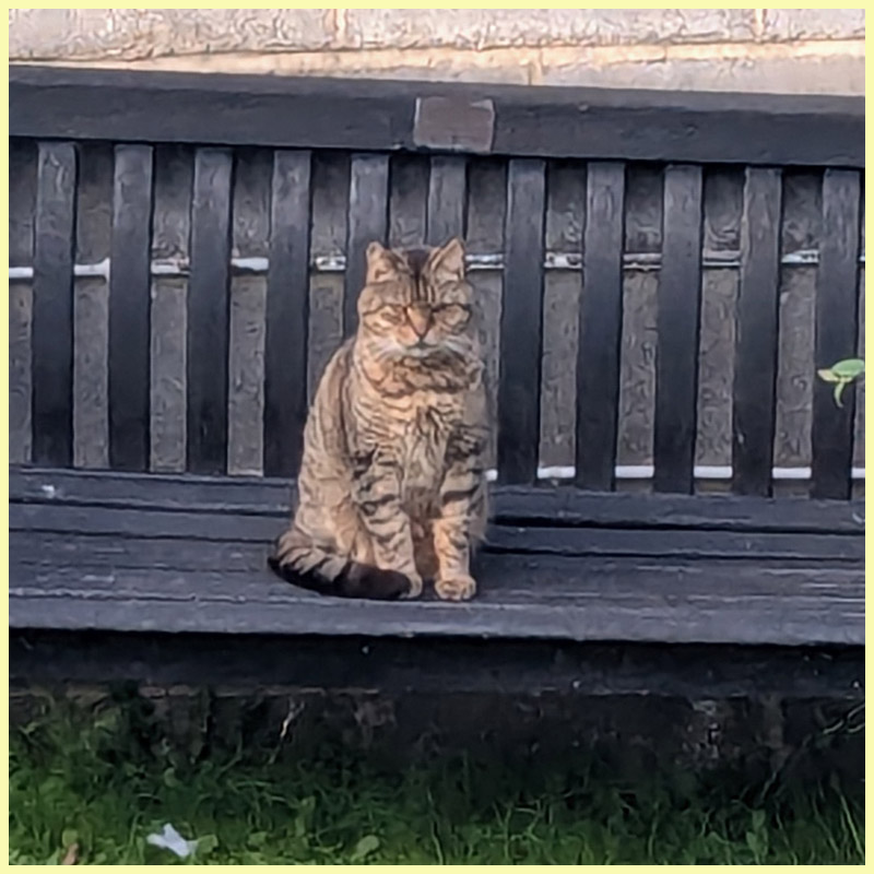 Reb sitting on the bench at the care home