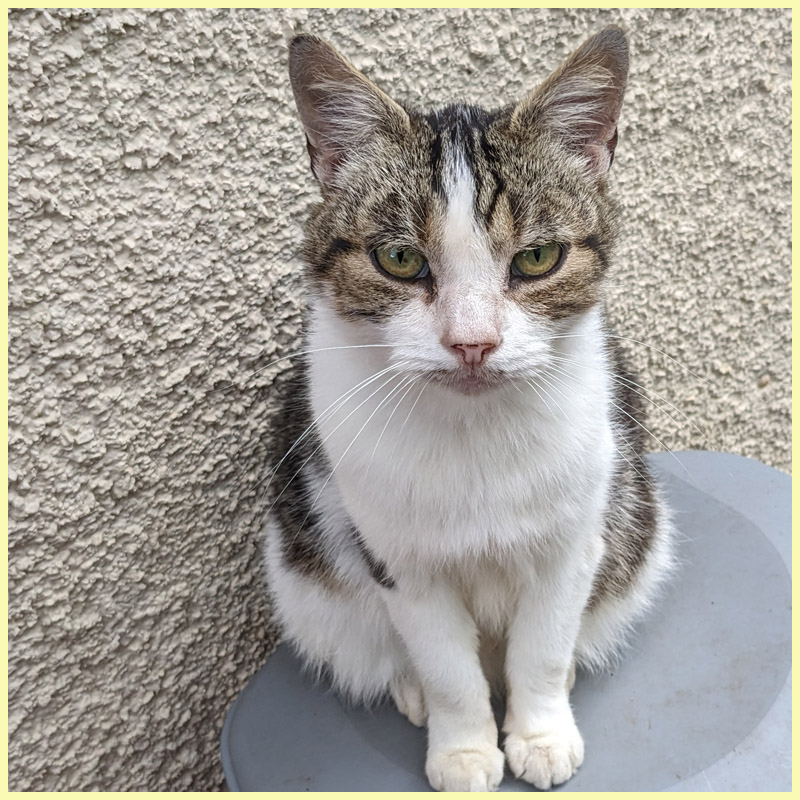 Wiggles sitting on a bin